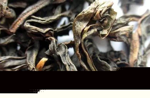 好肉桂不止在牛栏坑！